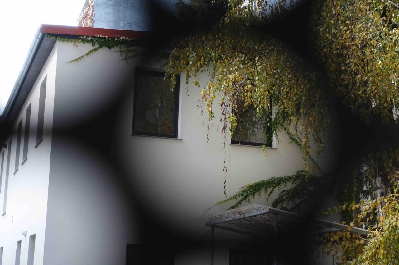 Studio U Parkplatz, Zentrale Ruhelage Neben Gruenoase Vienna Exterior photo